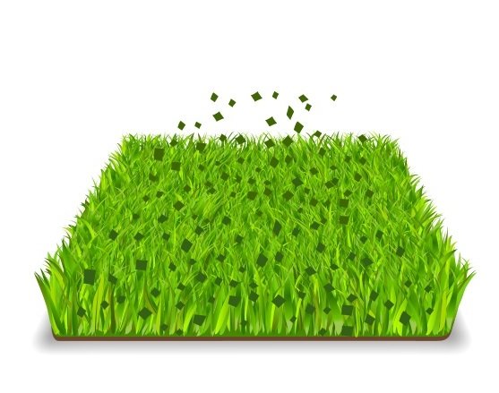 Gras_mulchen.jpg
